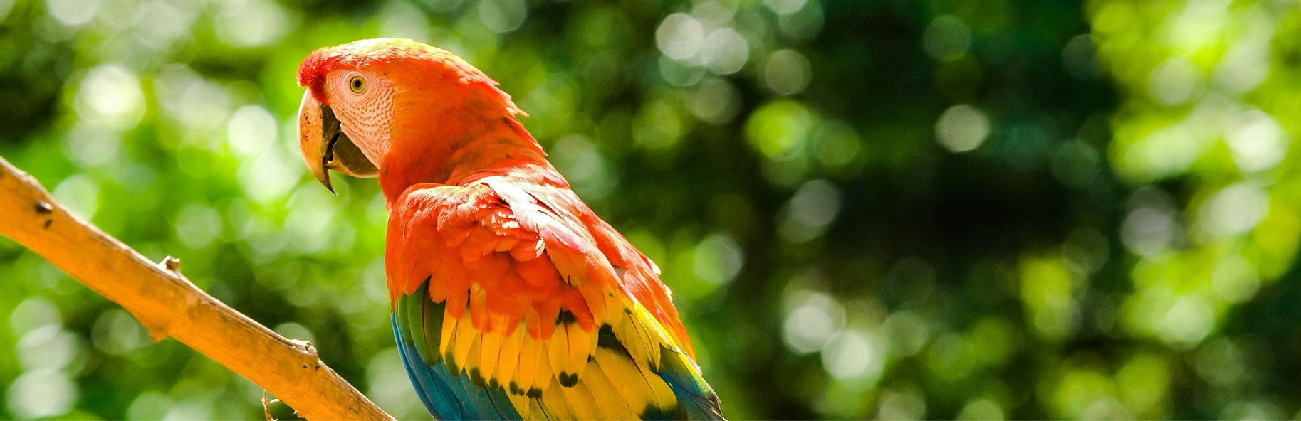 Un plan para los amantes de la naturalez y la diversión